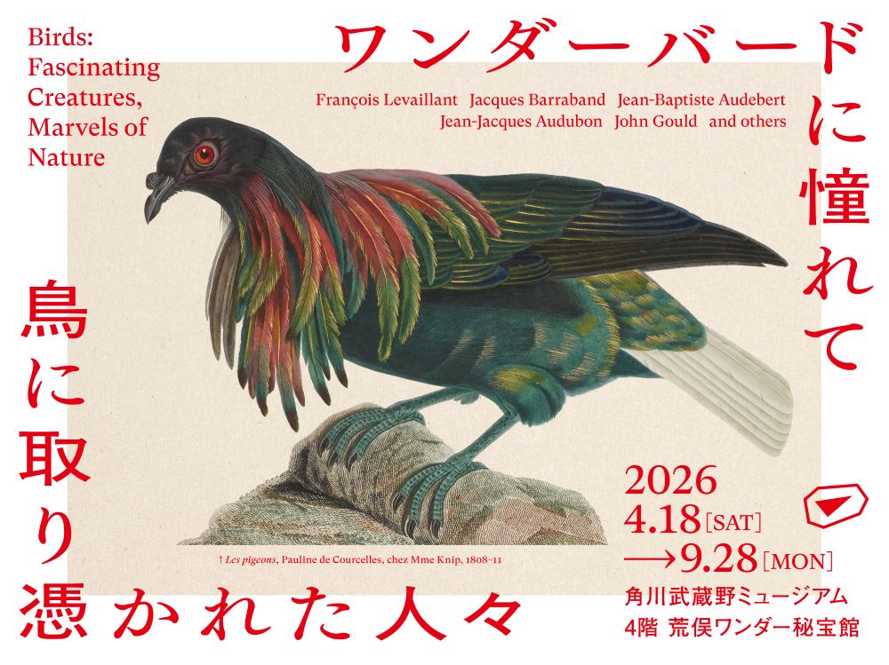 ワンダーバードに憧れて 鳥に取り憑かれた人々｜角川武蔵野ミュージアム