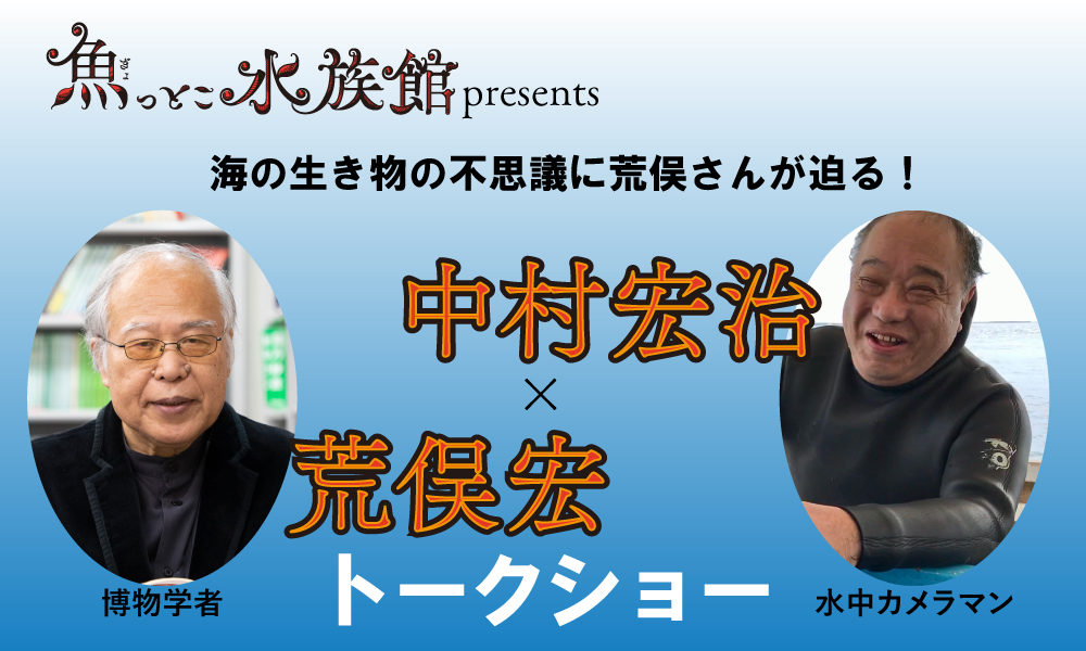 ◇ヴェトナム : 壮大な悲劇1945-1975. 上下　セット◇白水社 Amazon.co.jp: ヴェトナム(上)：壮大な悲劇 1945-1975